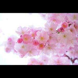 2 for $15. Bundle 2 items listed for $15 or less.